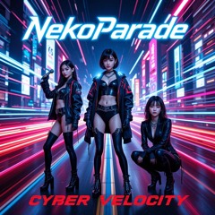 10.Cyber Velocity