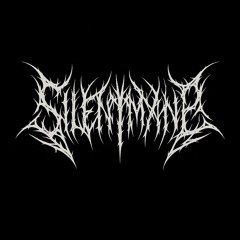 silentmxne