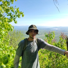 Aleksandar Stevic