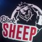 Drblacksheepp