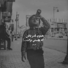 hasan Z