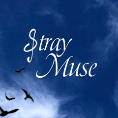 Stray Muse