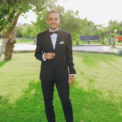 Mahmoud Ashraf Dabis