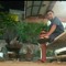 fadhly