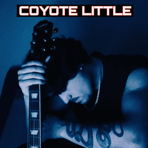 COYOTE LITTLE’s avatar