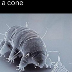 BogariBogsteelAtLarge