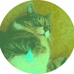 klubkitty1985