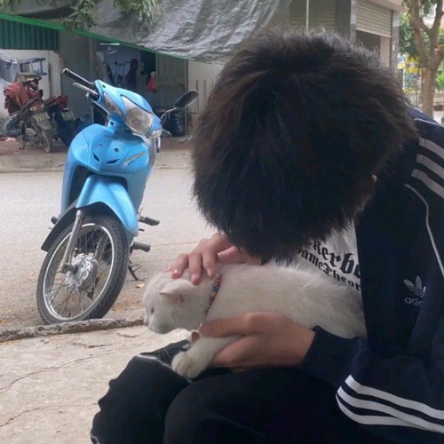 Sự Tích Trần Bình X Bé Dâu ( Vì Ngày Hôm Nay em Cưới Rồi Remix )