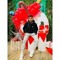 Abdala Aadel