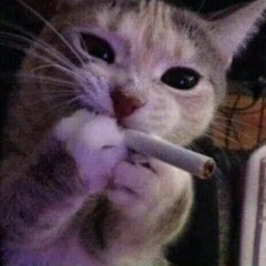 Lεf0s