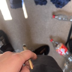 A1 📲