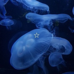 Jellybaby