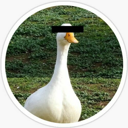 Goose Incorporated’s avatar