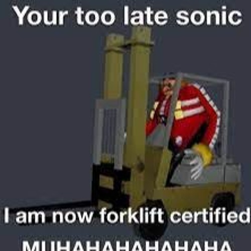 you're too late sonic’s avatar