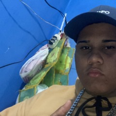 KauaTsoca