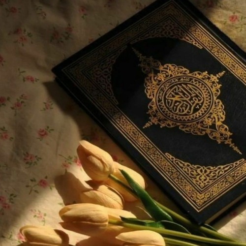 Drood pak