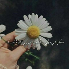 Marwa Amr