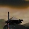 Samurai 武士