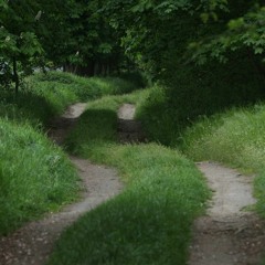 Pejsik