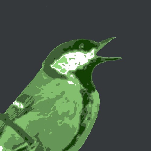 Birb’s avatar