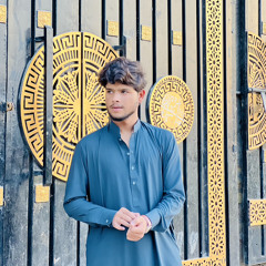 Muzamil Ali
