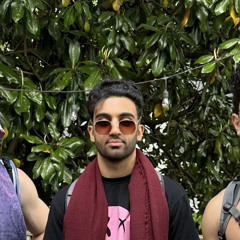 Shahmeel Naseem