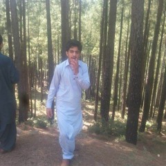 syed nisar ..,尼萨 尔