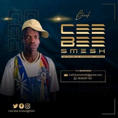Cee Bee Smesh5040