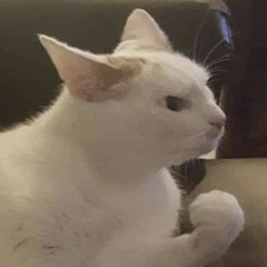 ✩ ɴᴏᴇᴍɪ ✩