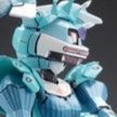 Tori