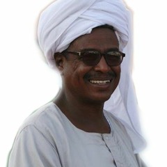 محمد الحسن سالم حميد