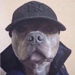 dawg