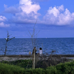 Dawn C