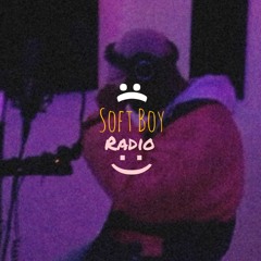 SoftBoy Radio