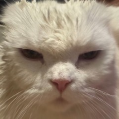 dubatep