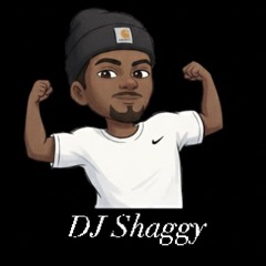 𝘿𝙅 𝙎𝙝𝙖𝙜𝙜𝙮 q8𓅫