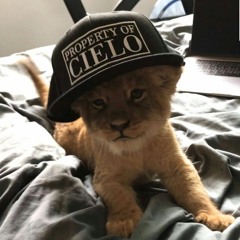 Пакастник🍻