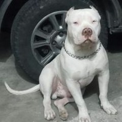 Cabral Jotp