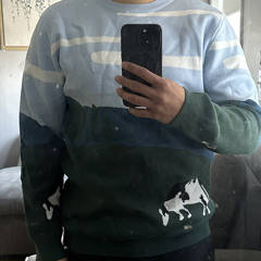 Sean Ibanez Castillo