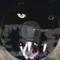 SCYTHE3