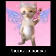 zxcsirota