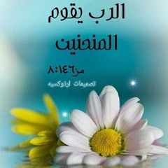 Shereen Ghaly