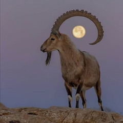 The Village in the High