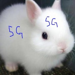 오구토끼5Grabbit