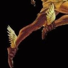 High Hermes