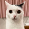 I’m Anh Quocc ✪