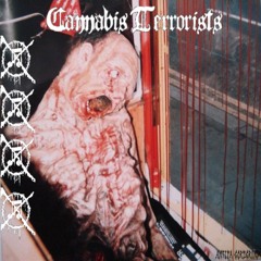Cannabis Terrorists