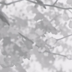 décomposition de la formae