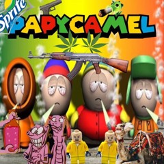 papycamel