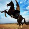 Ahmed Diaa Taha